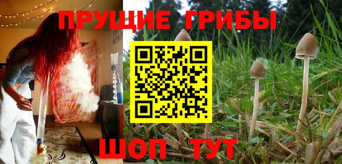 Псилоцибиновые грибы мухоморы Амурск